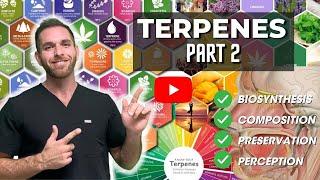 Terpenes Part 2: Biosynthesis, Composition, Preservation, and Perception!