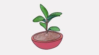 how to draw a tulsi plant | step by step draw basil plant