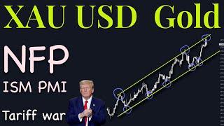 XAuUSD Gold Technical Analysis 3 to 7 February 2025