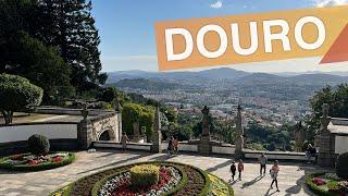 Douro - Portugal :: Tour gastronômico e vinícolas da região do Douro :: 3em3