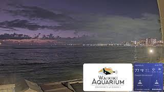 Waikiki Aquarium South Shore Surf Cam