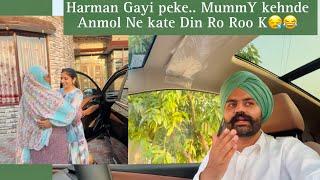 Harman Gayi Peke.. Mummy Kehnde Anmol Ne kate Din Ro Ro K  | Anmol Bhullar | Vlog