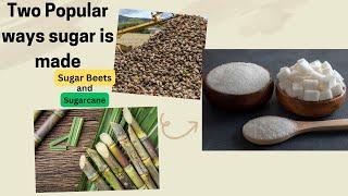 How Sugar is Made from Sugarcane and from Sugar Beets