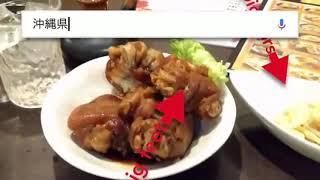 Vegans Lie ~ Okinawa Japan