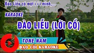 ĐÀO LIỄU (LỜI CỔ) KARAOKE CHÈO CỔ TONE NAM