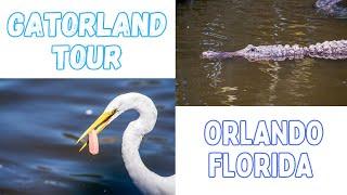 Orlando Florida - Gatorland  Tour #orlando  #florida