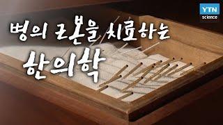 [한국사 探] 병의 근본을 치료하는 한의학 / YTN 사이언스