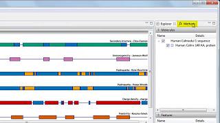 DNASTAR - Protean 3D's Analysis View