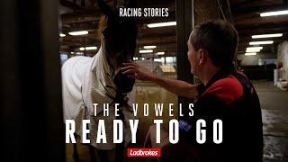 The Vowels Is Defying His Breeding To Be A Ladbrokes Queensland Derby Contender