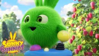 SUNNY BUNNIES - HOPPER PLAYS VIDEO GAMES | Season 7 COMPILATION | Cartoons for Kids