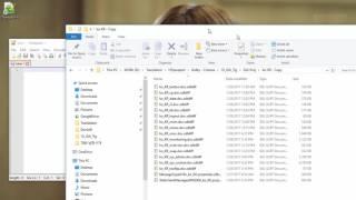 Find and Replace in Multiple Files