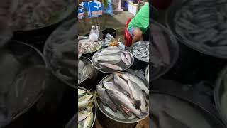 อาหารทะเลสดตลาดแถวบ้านราคาไม่แพง