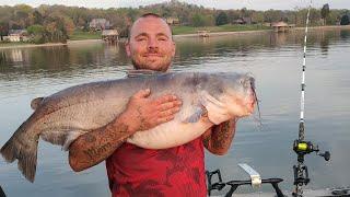 I fished over 48 hours to finally see this Tennessee River trophy catfish caught!#madkatz #catfish