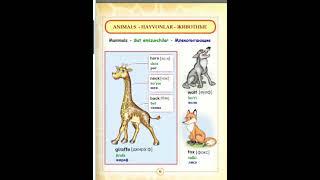 Animals-picture dictionary  - English-Russian-Uzbek  #education  #ielts #english #vocabulary#animal