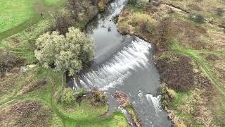 River Leven - Fish passage