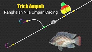 Trick Ampuh! Membuat Rangkaian Pancing Nila Umpan Cacing