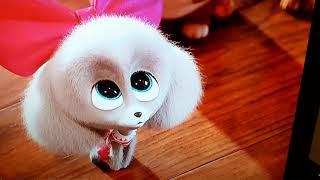 Jessica DiCicco as Tiny and Princess from Secret Life of Pets 2