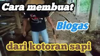 Cara membuat Biogas dari kotoran sapi