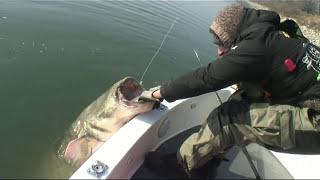 Catfish Monster VS small casting reel by Catfish World