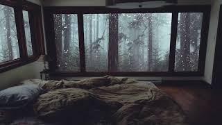 Sunet de ploaie pentru a dormi - Zgomotul ploaie Relaxare în pădurea cețoasă fără tunet