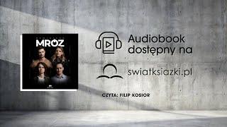 "Bezkarny" Remigiusz Mróz fragment audiobooka