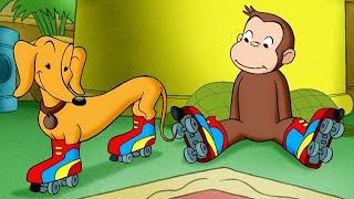 Georges le Petit Singe  Curious George découvre le roller  Dessins Animés