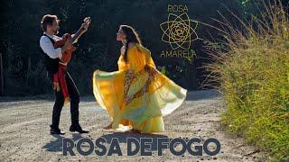 ROSA DE FOGO (CIGANOS) - Rosa Amarela