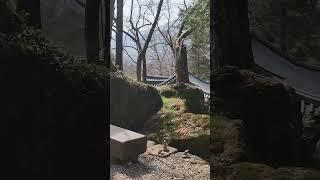 #사치기 사치기 #차은성