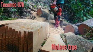 Molave turn into perfect planks||Tecomec chainsaw//Totordz Tv