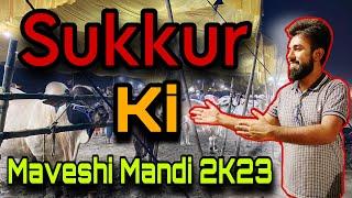 Sukkur | Ki | Maveshi Mandi | 2K23 