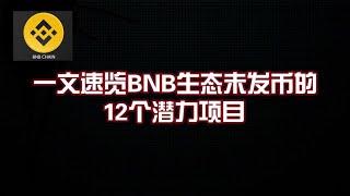 一文速览BNB生态未发币的12个潜力项目