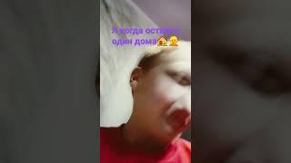 новый мультан