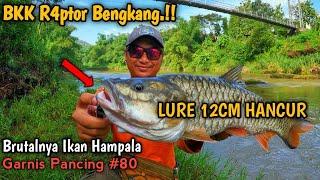 LURE SAMPAI HANCUR ‼️ Berburu Hampala Babon Dengan Lure Besar || Garnis Pancing #80