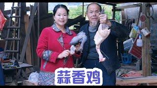 叔叔去榨油，公公抱怨婆婆不帮他做饭，买了两只鸡找秋子帮忙加工