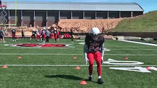 Defensive Back 7 CONE DRILL