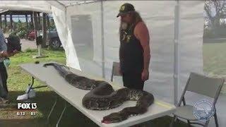 Python hunter, designer turn invasive snakes into fashion