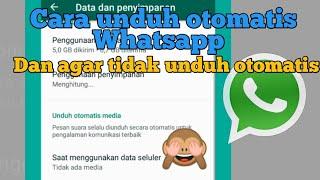 Agar foto dan video whatsapp tidak terunduh otomatis