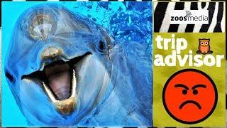 Why TripAdvisor is WRONG   | zoos.media