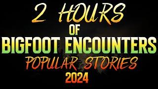 2 HOURS OF BIGFOOT ENCOUNTERS  - POPULAR STORIES 2024