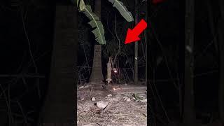 Haunted Tubewell || Ghost Fighter