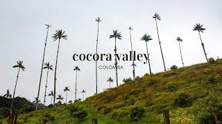 Exploring Cocora Valley, Colombia | Cinematic Travel Video