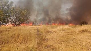 Bulgaria 14 (Summer 2024): devastating wild fire in our beautiful village