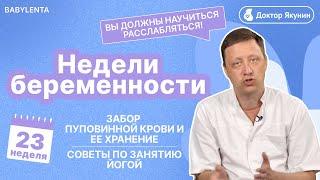 23 неделя беременности что происходит с малышом и мамой, развитие плода, забор пуповинной крови, УЗИ