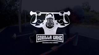 GORILLA GANG PROMO CALISTHENICS STREET WORKOUT IRELAND 2018