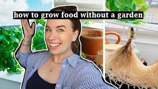 INDOOR GARDEN RESET // plant tour, repotting, sprouting & hydroponics