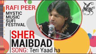 Teri Yaad | Shermiandad | Rafi Peer Mystic Music Sufi Festival