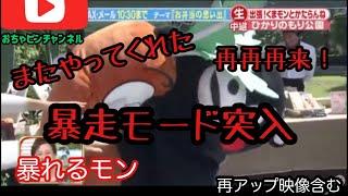 くまモン放送事故集　第四弾！またまたやってくれた！かたらんね　民放　[再アップ映像含む]