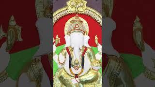 ganesha tanjore painting #art #traditional #painting #drawing #ganesha #vinayagar #shortvideo