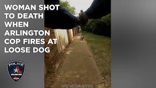 Woman shot to death when Arlington cop fires at loose dog