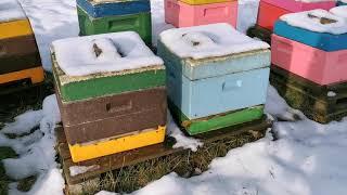 Один день из жизни пчеловода. 30. Dezember 2020